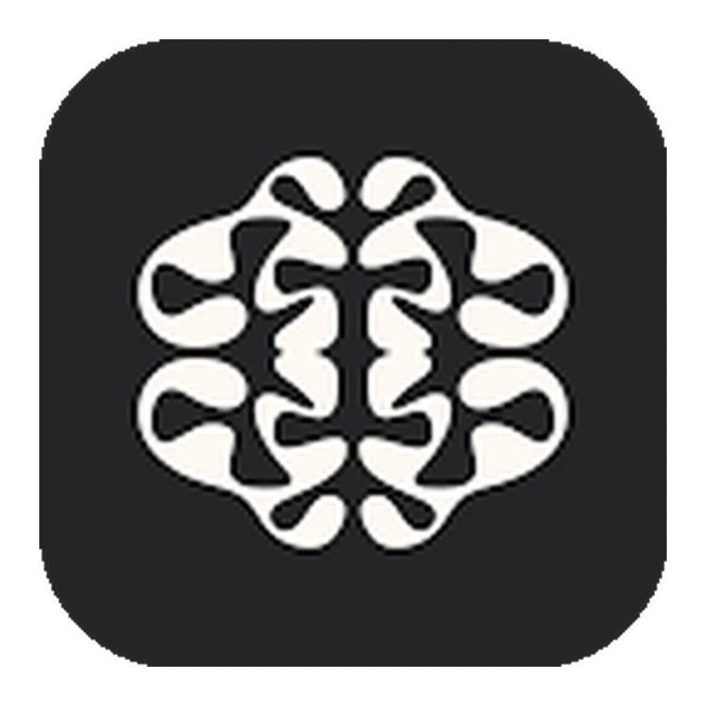 Ideogram Plus